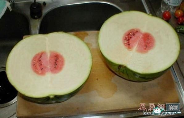 西瓜 哈哈