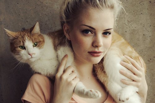猫咪围脖