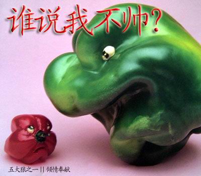 谁说我不帅