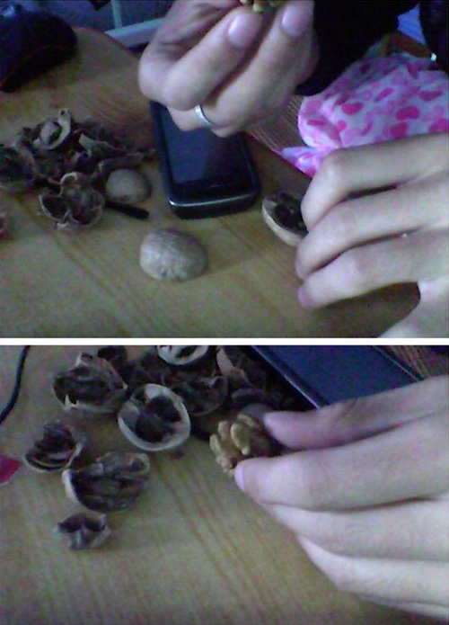 买了2斤小核桃，没钳子。
