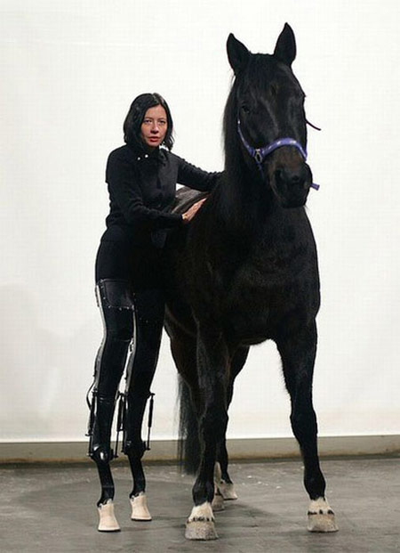 这鞋子真霸气。