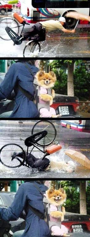 哦，上帝，很有趣！