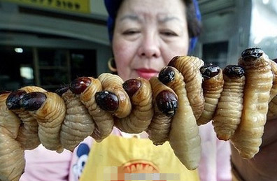 串烧肥虫，木有勇气吃啊