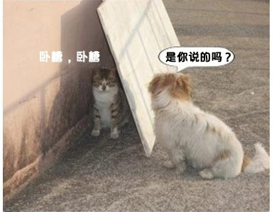 卧槽。卧槽。 是你说的么？