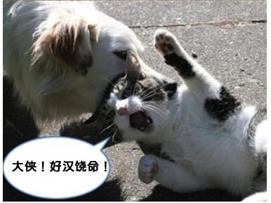 大侠，饶命。