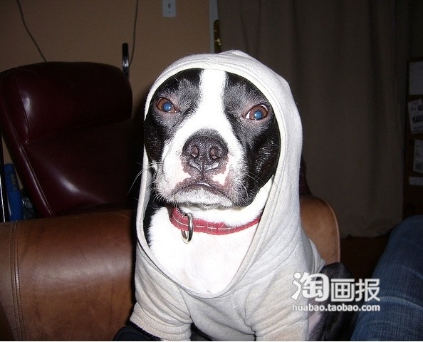 我是非主流