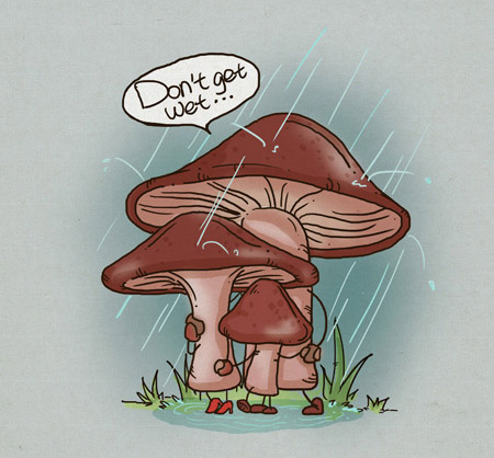 蘑菇一家总是赶上下雨天，所以你总会看见他们相互遮挡着，在树下躲雨。