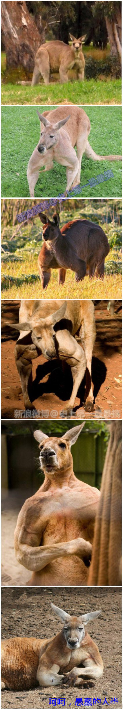 比如。。。。。