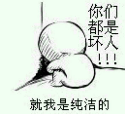 你们都是坏人，就我是纯洁的。