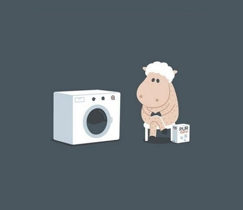 坐等洗衣机，清洗毛发。