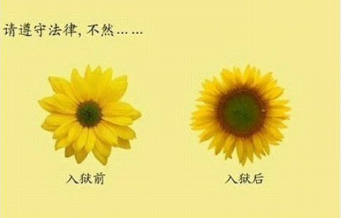 请遵守法律。不然.....哈哈哈！