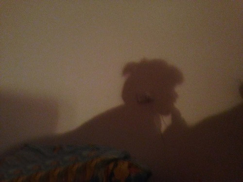 这个投影很邪恶。