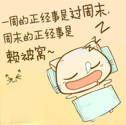 一周的正经事就是过周末。。。周末的正经事就是赖被窝。。。