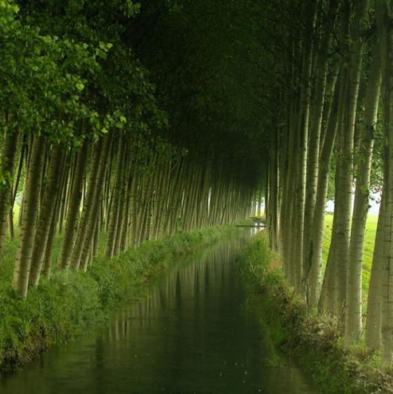 小河美景
