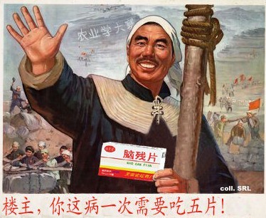 楼主，你这次病一次要吃五篇~