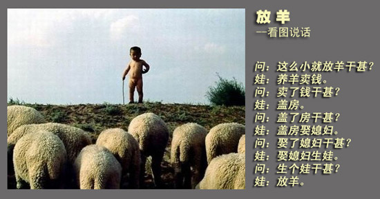 放羊的孩子。