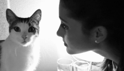 猫咪拒绝了爱莉安娜·格兰德的吻