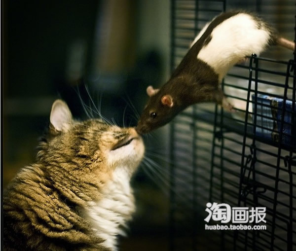 这一吻