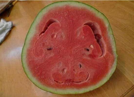 愁眉苦脸的西瓜