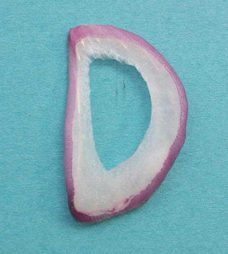 趣味字母 D图片