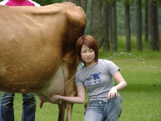 这美女，真是闲的奶子疼。
