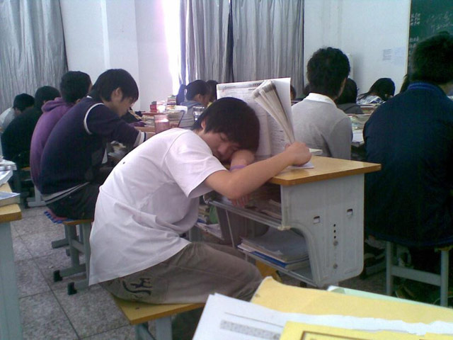 教室里的睡觉高手。