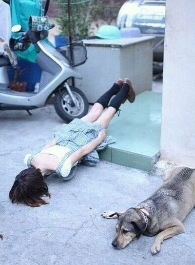 二逼狗狗和他的二逼主人