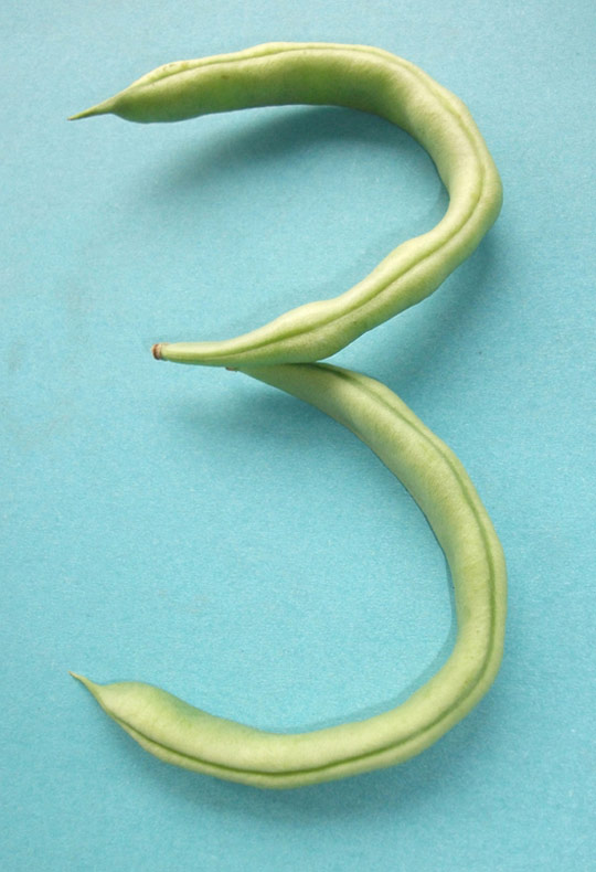 豆角3