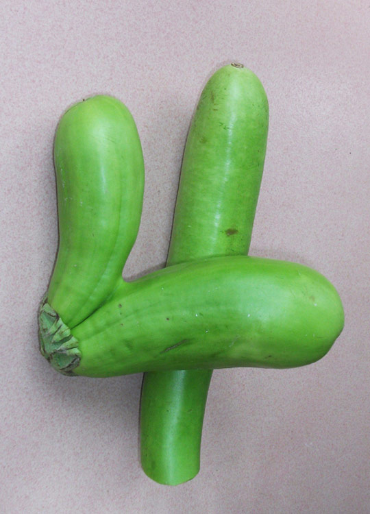 茄子4