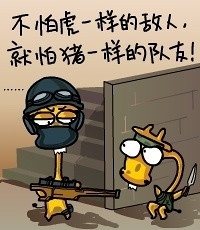经典语录