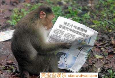 论三个代表