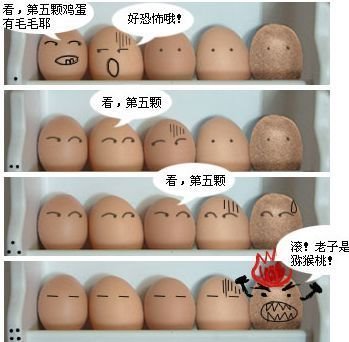 看第五个蛋
