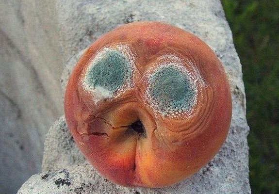 烂苹果