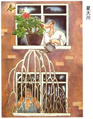 楼上邻居家的花