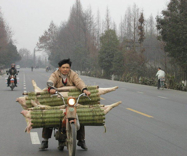 保守估计有400斤....
