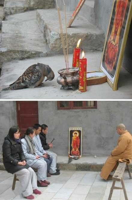 神啊，大师啊，请赐予我能量吧！
