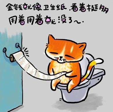 金钱就像卫生纸，看着挺多，用着用着就没了~