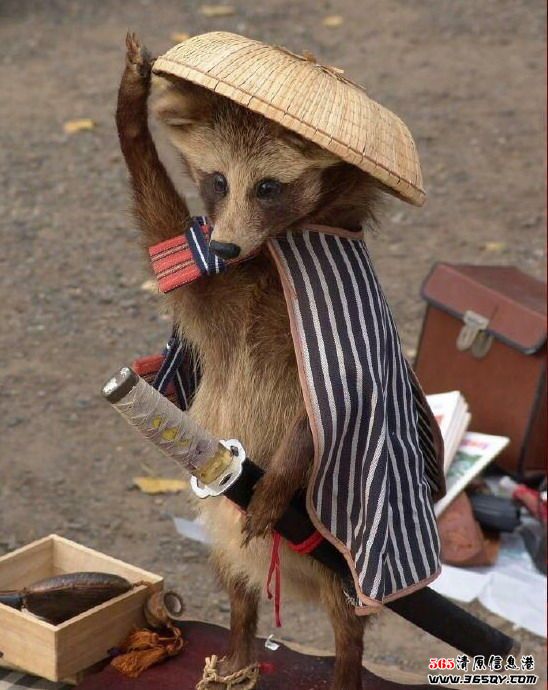 独行侠