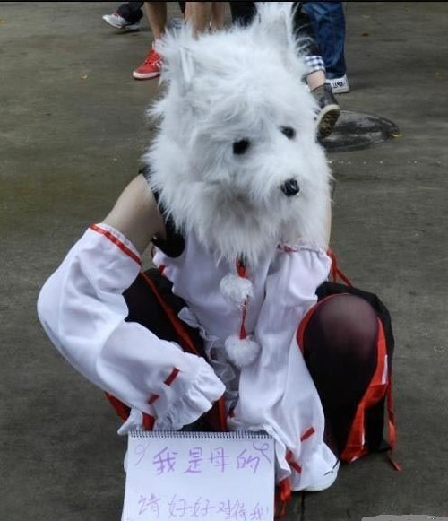 我是母的，请好好待我。。。