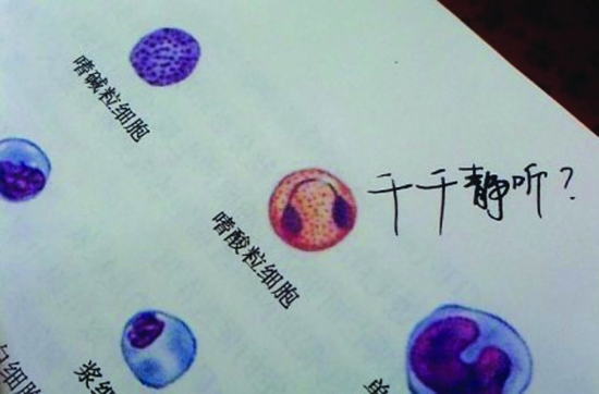 音乐，存在于每个人的细胞中