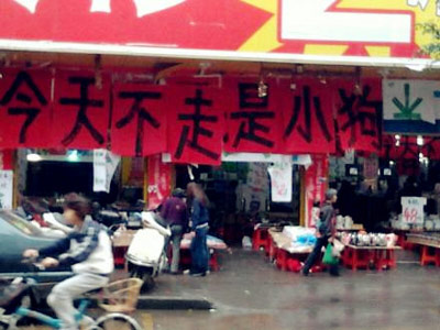 什么赌咒都敢发!我服了！