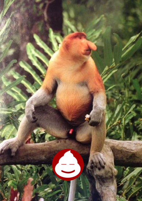 尼玛泼猴，JJ没有鼻子大！