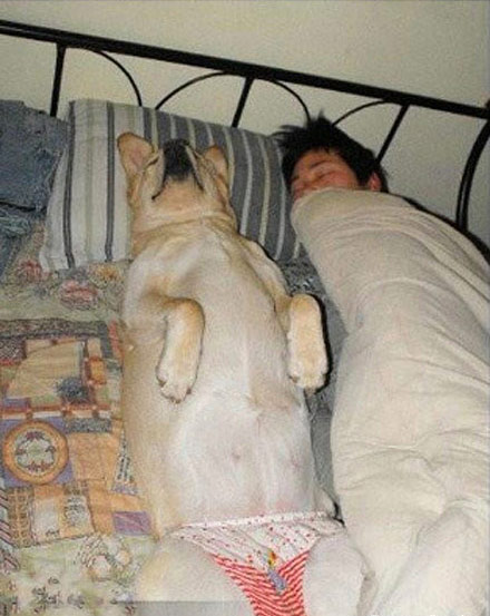 掀开被子那一刻，他们是如此的销魂。