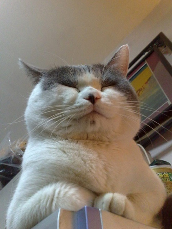 眯眯眼。