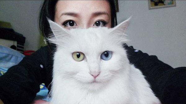 猫咪的眼睛怎么？？