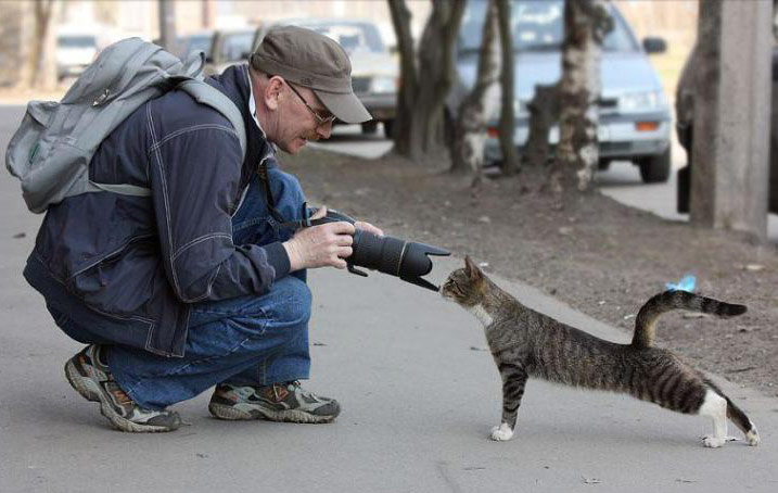 好奇害死猫