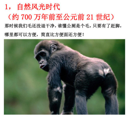 第一个时代，自然风光时代。你可以随便大小便。
