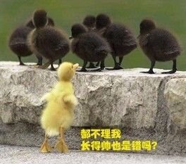 我另类么？