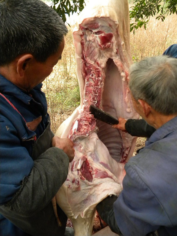 皮颠肉多，好猪。