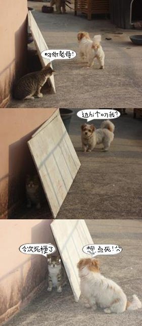 鸟语。。。。